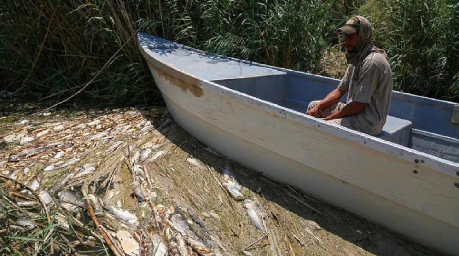 An Iraqi fisherman makes his way through dead fish and plants in the Delmaj marsh, east of the city of Diwaniyah, in Iraq's southern province on August 25, 2020. (Photo by Hayder INDHAR / AFP)