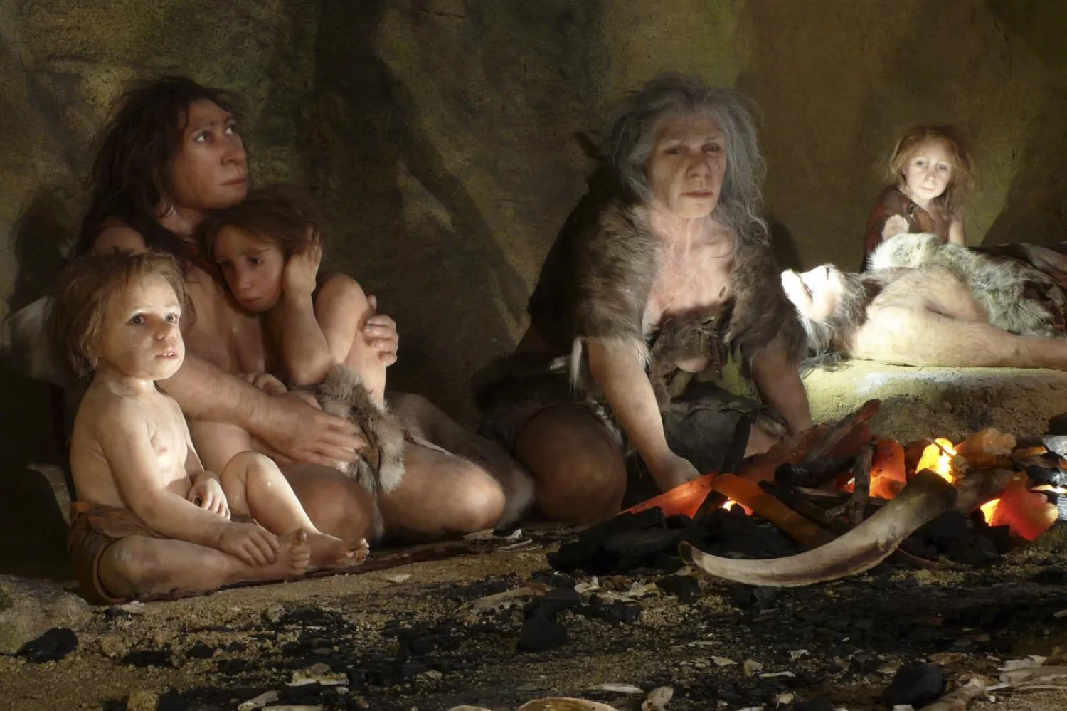 Neandertal Müzesi'ndeki bir sergi, mağarada yaşayan Neandertal ailesinin yaşamını gösteriyor (Reuters)

