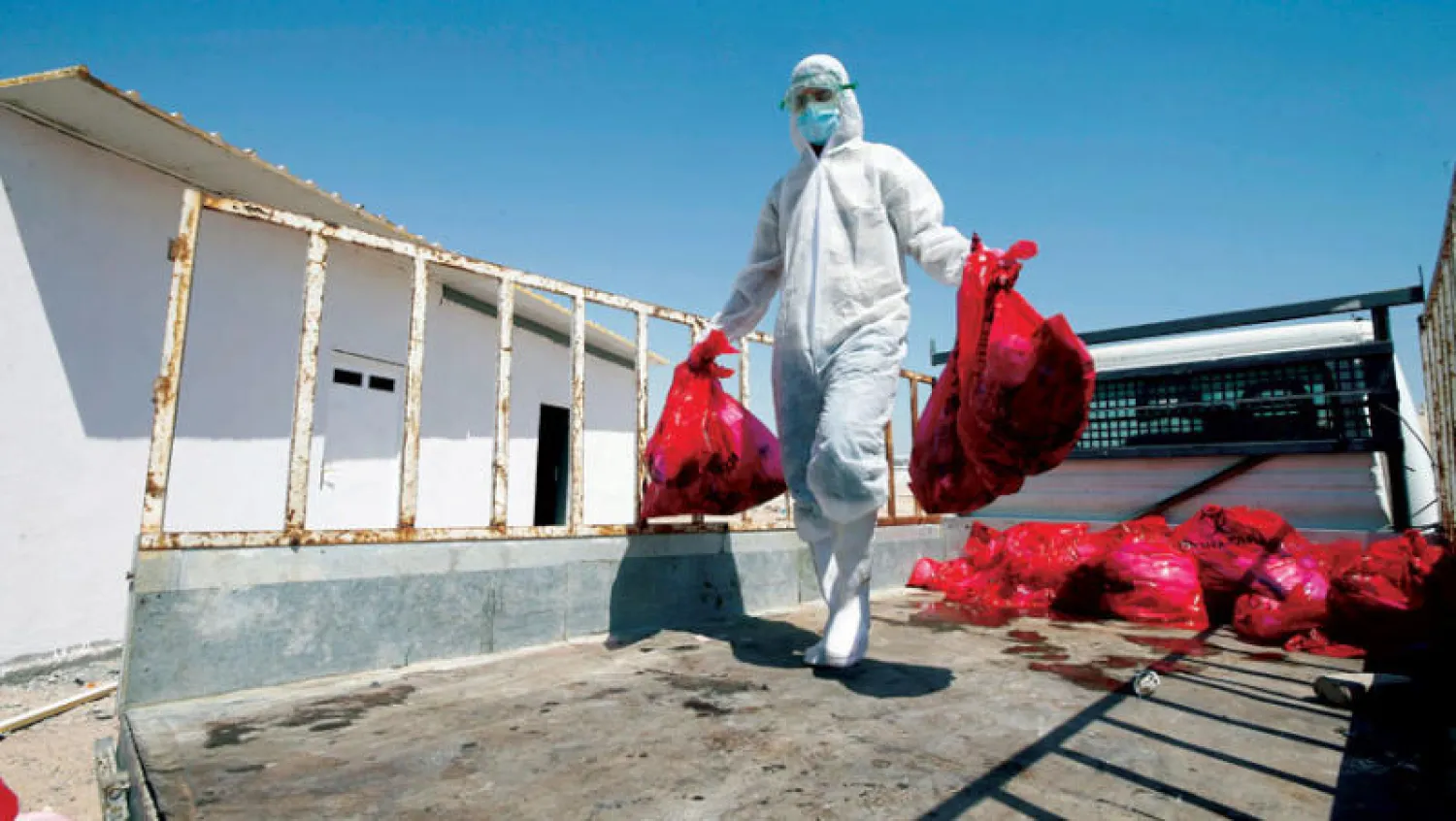 عامل صحة يجمع نفايات طبية لحرقها في النجف الاثنين الماضي (رويترز)