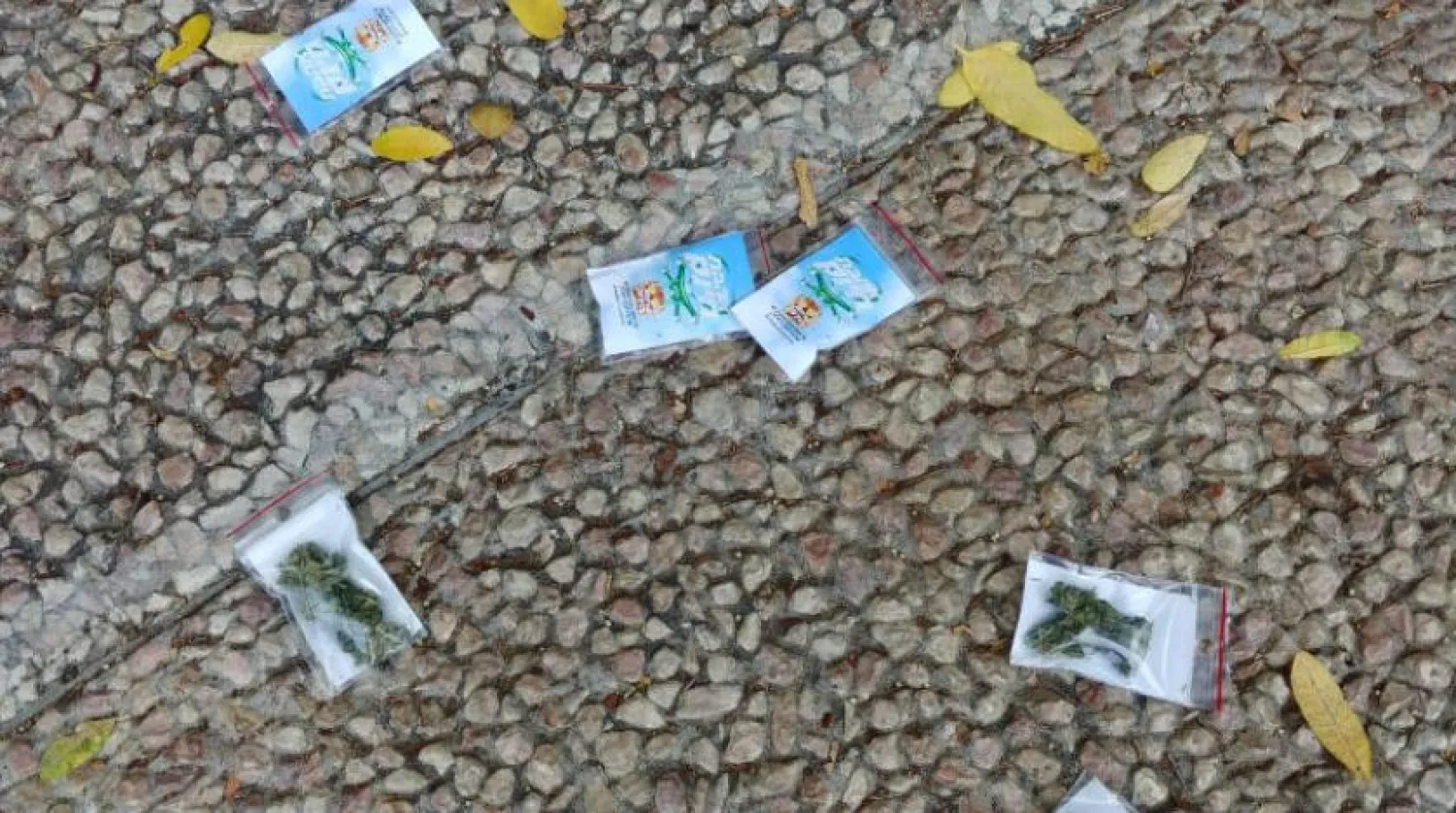 Tel Aviv sokaklarındaki küçük kenevir torbalarının fotoğrafı (Reuters)