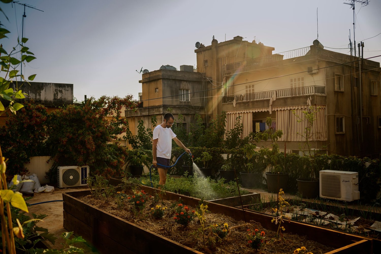 A Hungry Lebanon Returns to Family Farms to Feed Itself