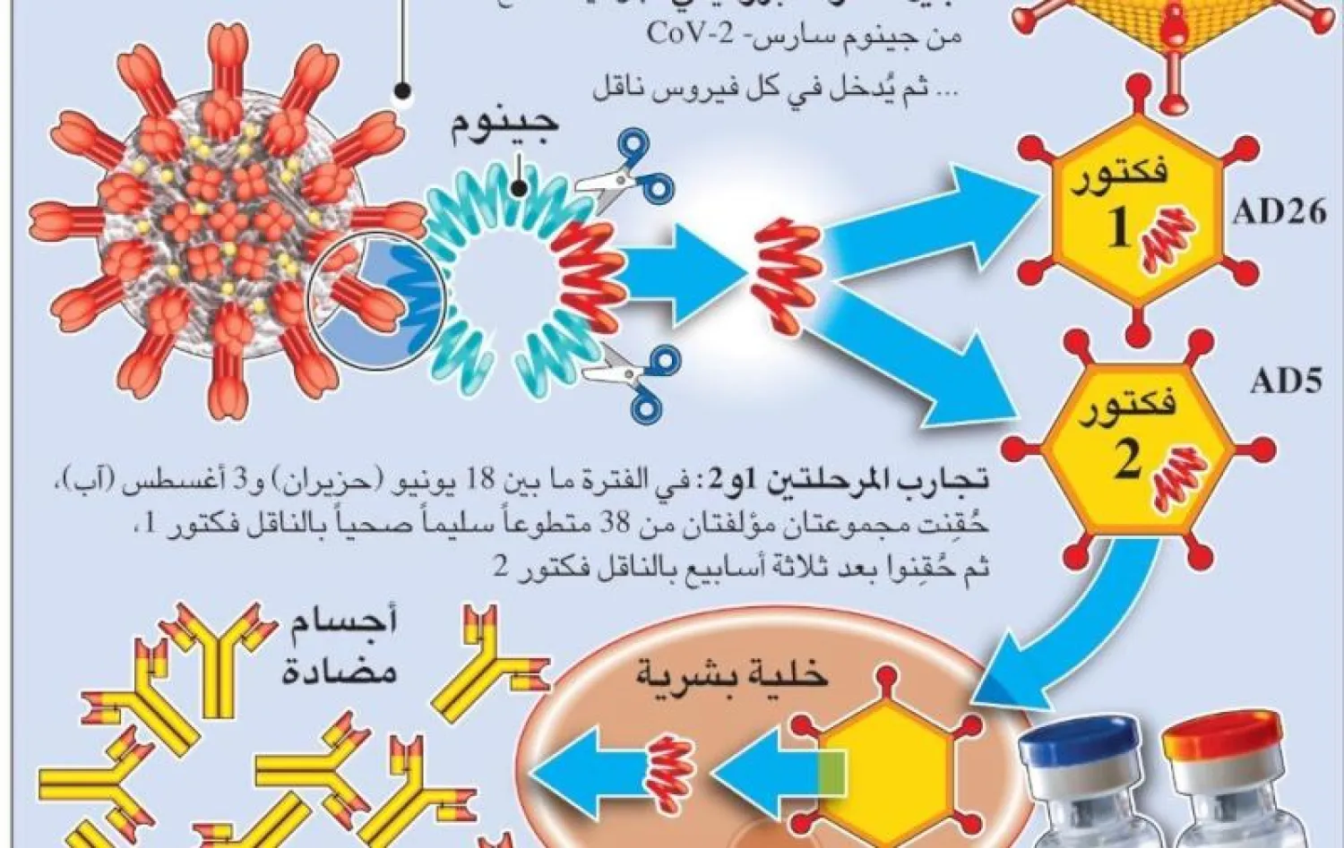 إنفوغراف اللقاح الروسي ثنائي الطلقة لـ«كورونا» (الشرق الأوسط)