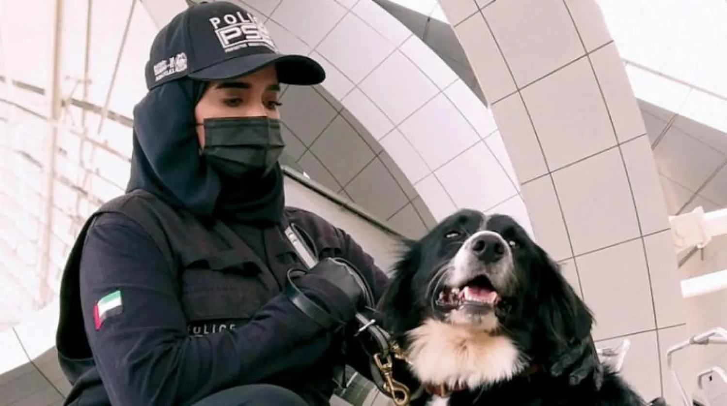 Çok güçlü koku alma duyusuna sahip eğitimli polis köpekleri, BAE tarafından koronavirüs vakalarını tespit etmek için kullanılıyor. (WAM)
