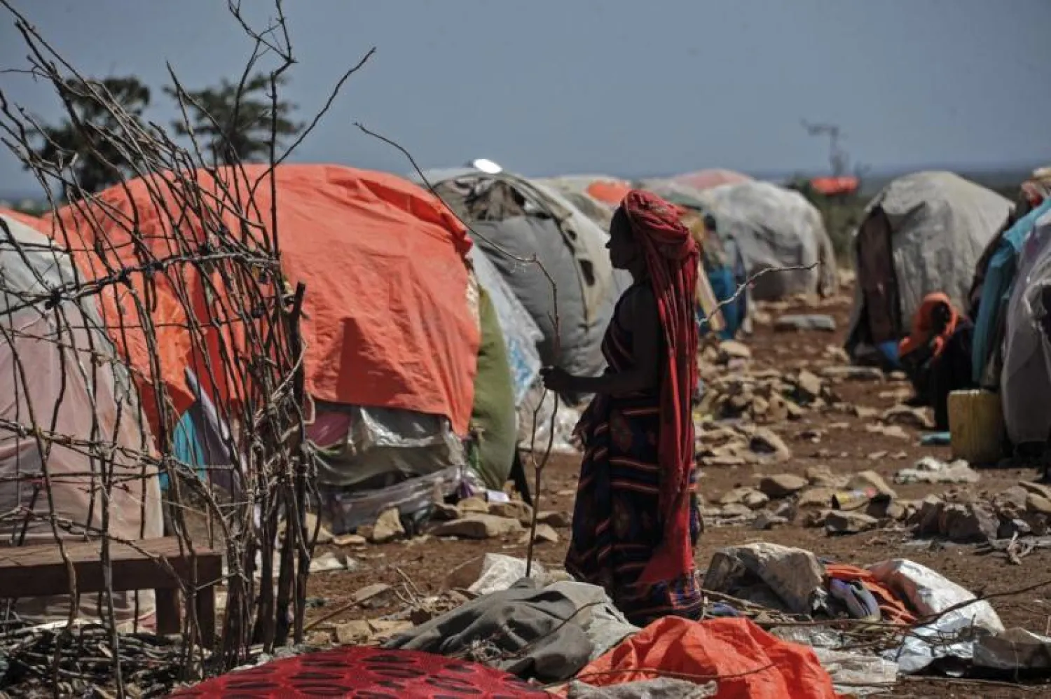 امرأة صومالية تحمل الحطب لبناء مأوى في مخيم للنازحين (أ.ف.ب)