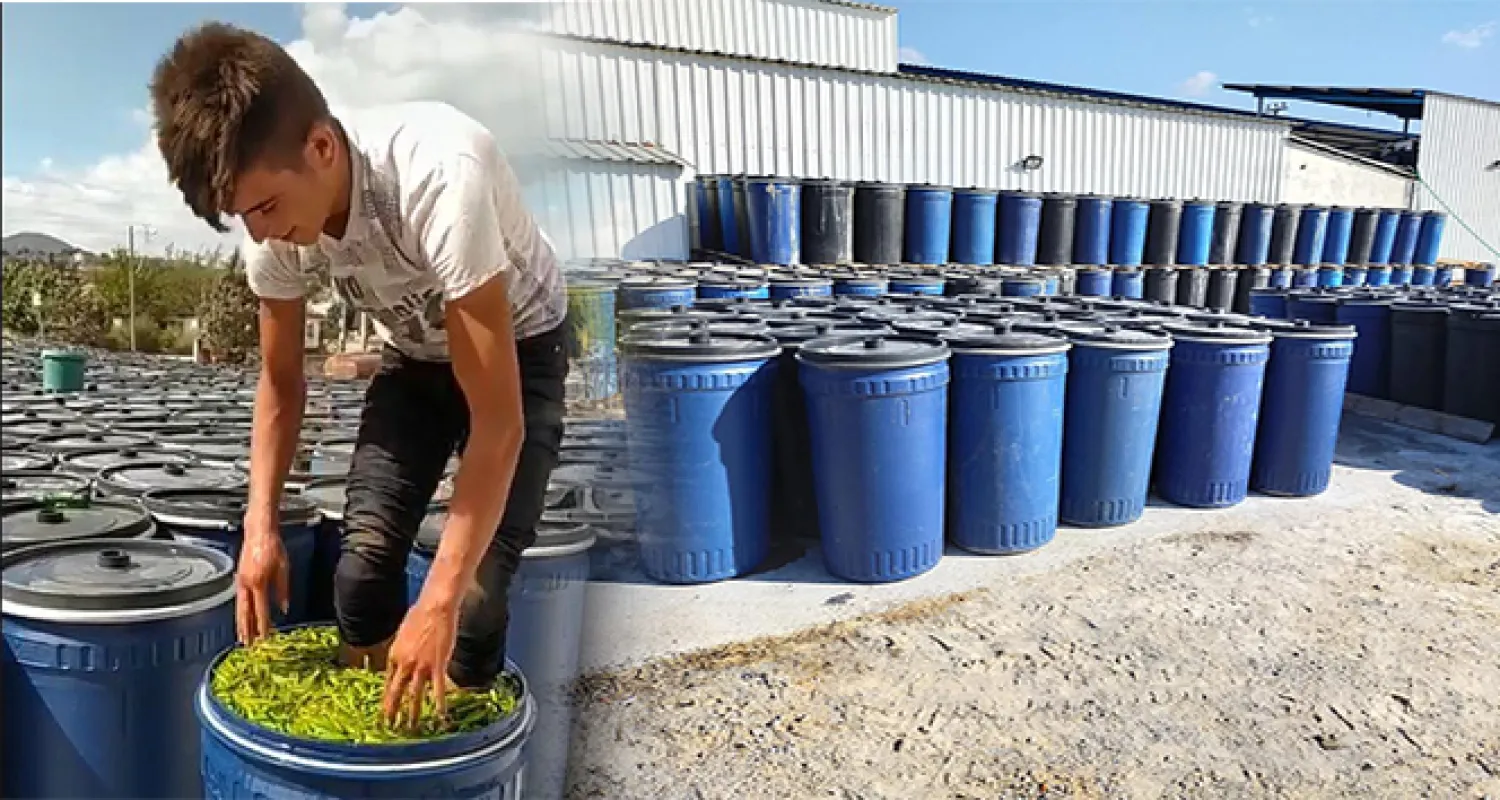 TikTok uğruna insan sağlığını hiçe saydı: Paylaşılan video nedeniyle firmaya yaklaşık 14 bin lira ceza yazıldı