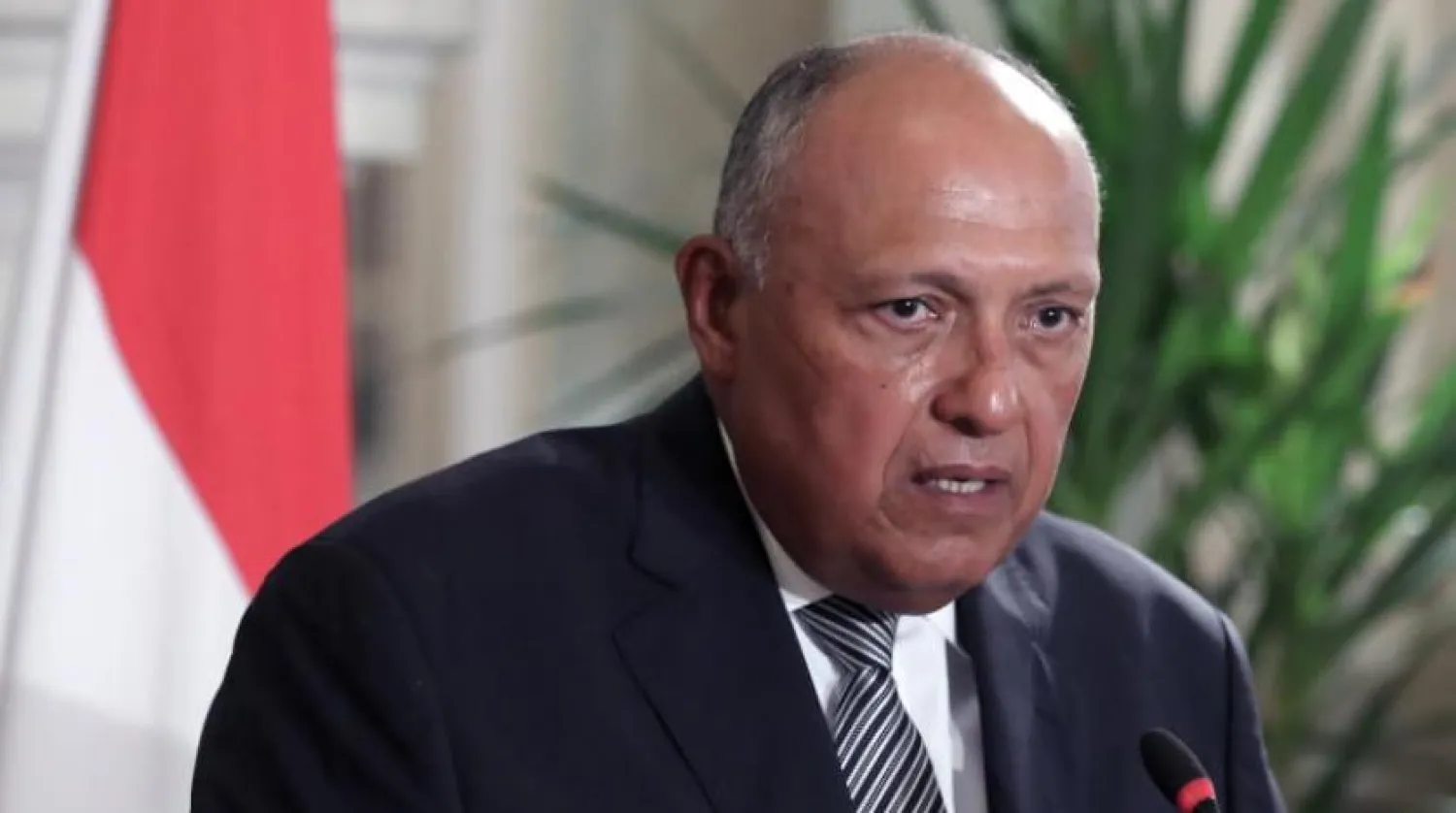 مصر تؤيد الجهود السعودية للحل السياسي في اليمن وتدين «الحوثي»