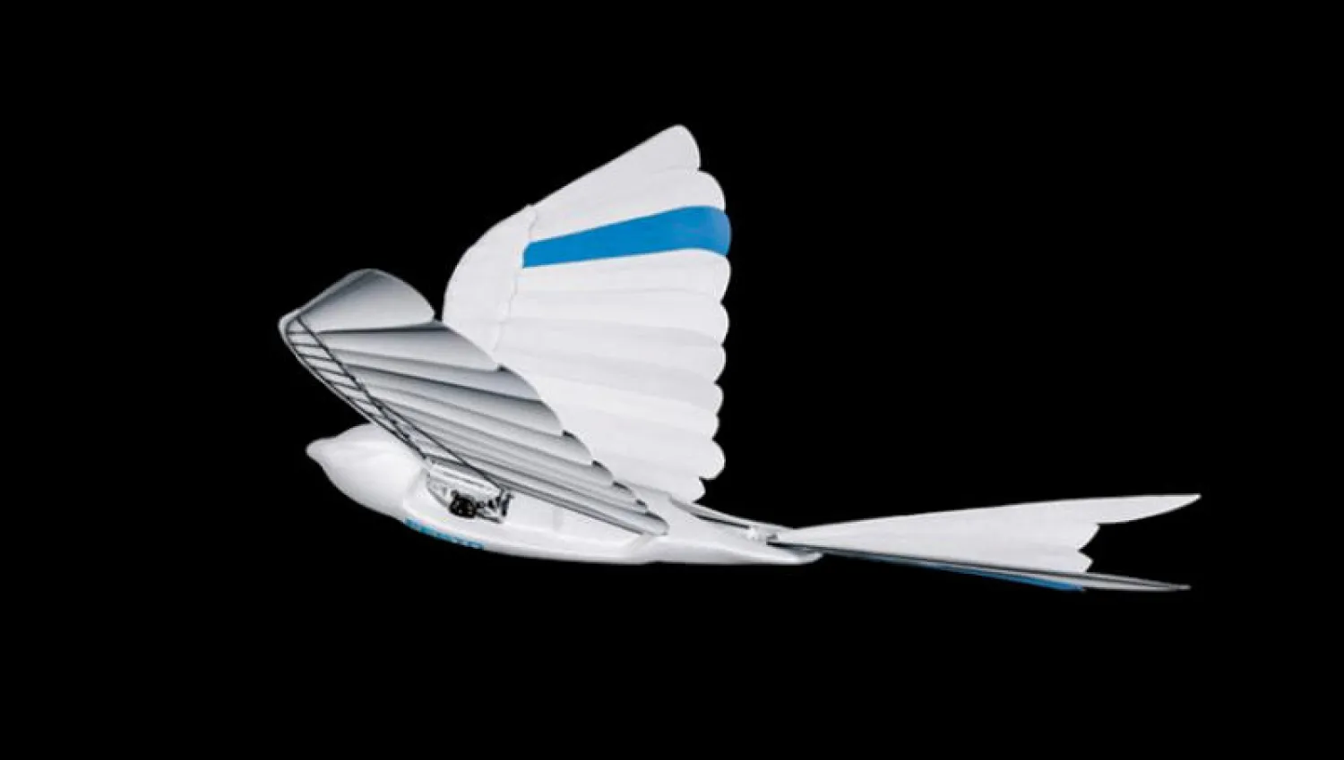 الطير الآلي «بايونيك سويفت»