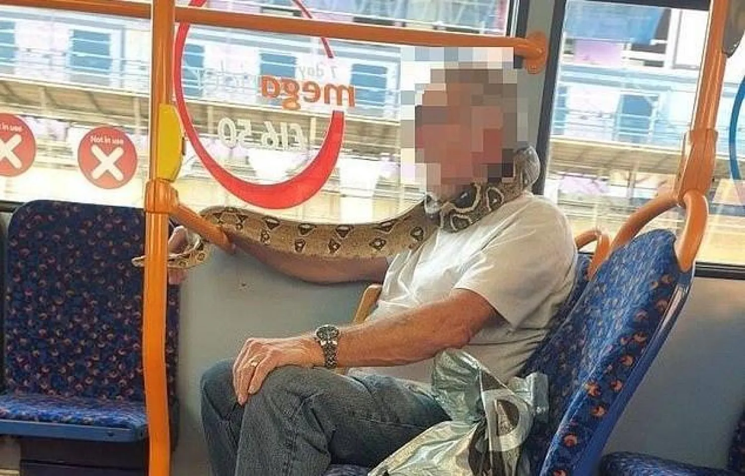 رجل يجلس بإحدى الحافلات في بريطانيا بينما يضع ثعباناً حول عنقه (ديلي ميل)