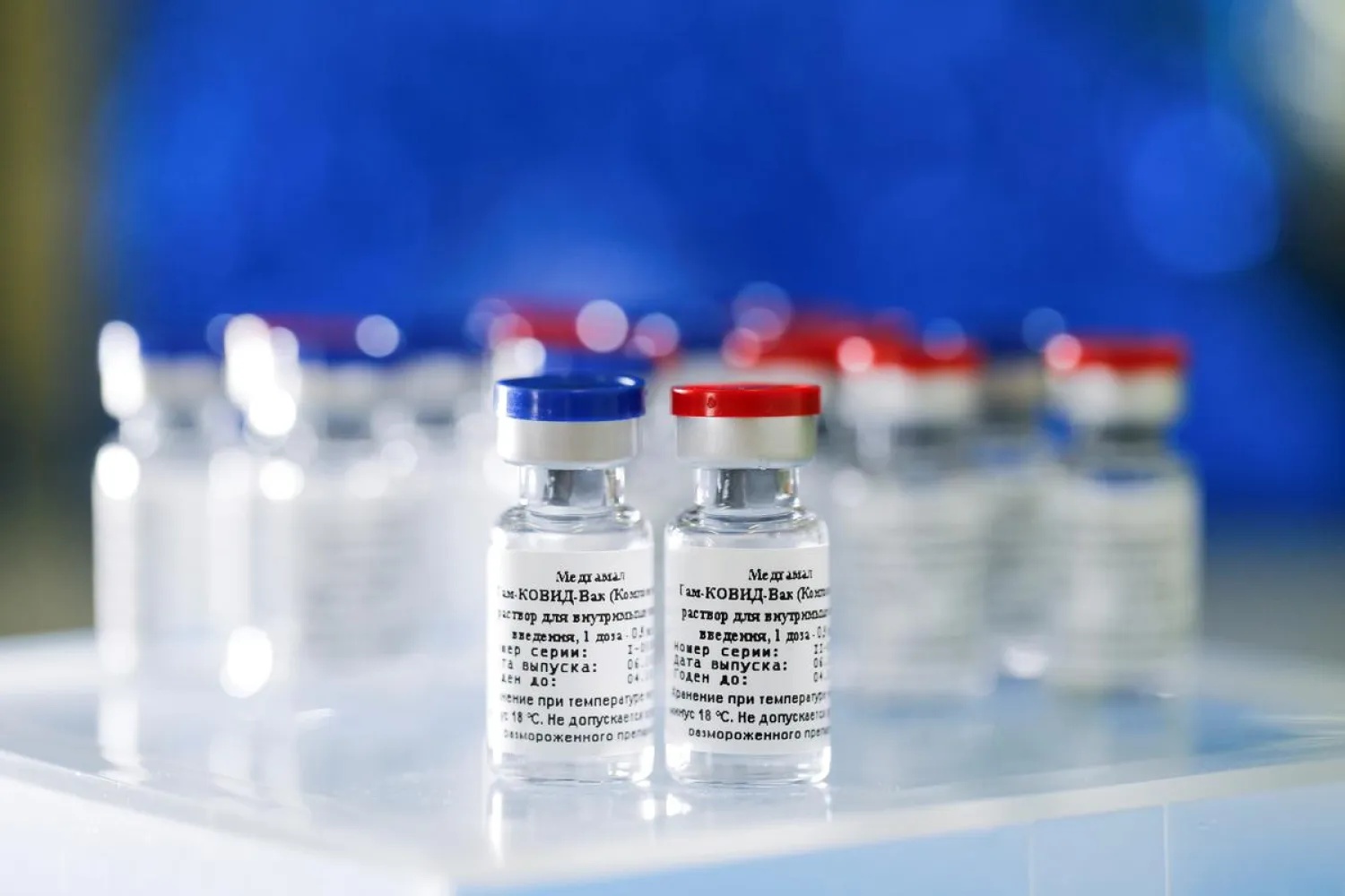 A handout photo provided by the Russian Direct Investment Fund (RDIF) shows samples of the Sputnik V vaccine against the coronavirus, in Moscow, Russia August 6, 2020. (Reuters)