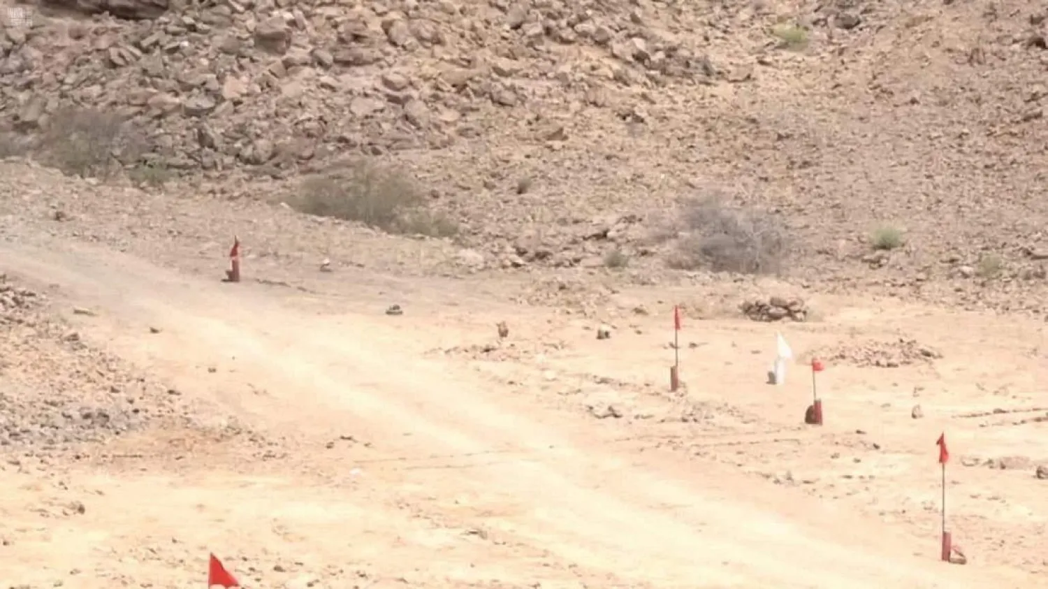 MASAM project in Yemen. SPA