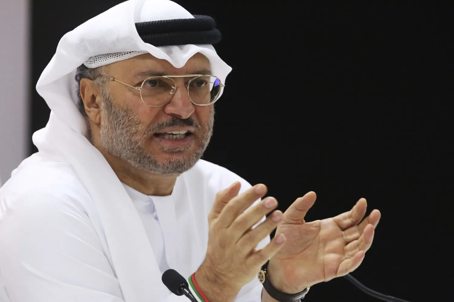UAE Minister of State for Foreign Affairs Anwar Gargash. (AP)