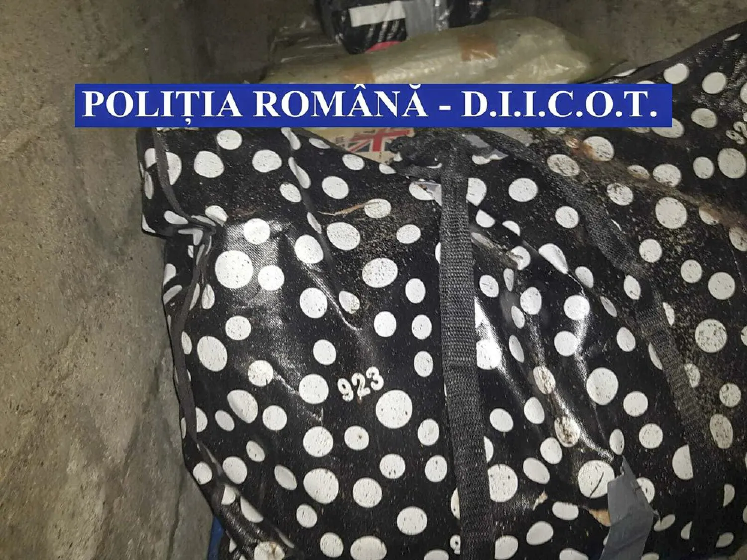 In this undated image provided by the Romanian Police shows some 200 valuable books discovered, Sept. 16, 2020 hidden in Romania, displayed in a garden in north eastern Romania. (AP)