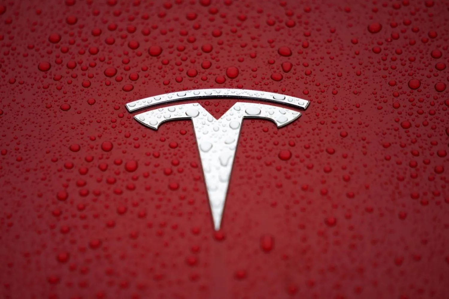 FILE PHOTO: A Tesla logo is seen at a groundbreaking ceremony of Tesla Shanghai Gigafactory, China, Jan. 7, 2019. REUTERS/Aly Song