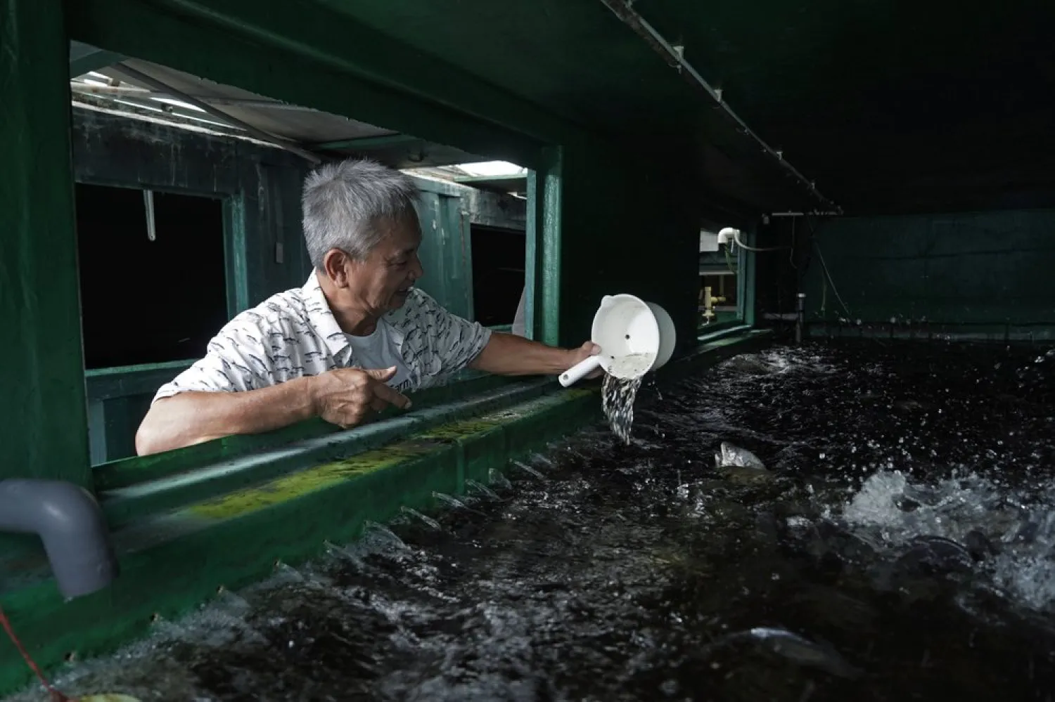 Arthur Lee, owner of MoVertical Farm, feeds his fish inside a shipping container in Yuen Long, Hong Kong's New Territories Tuesday, Sept. 22, 2020. (AP)