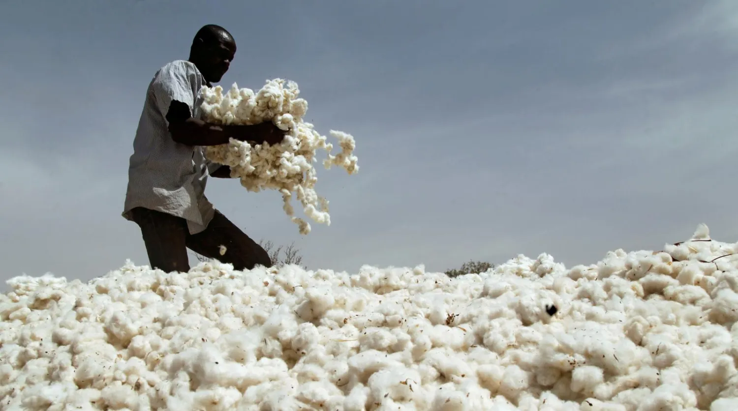 A farmer works in a cotton field in Kongolekan village near Bobo-Dioulasso, Burkina Faso March 7, 2017.