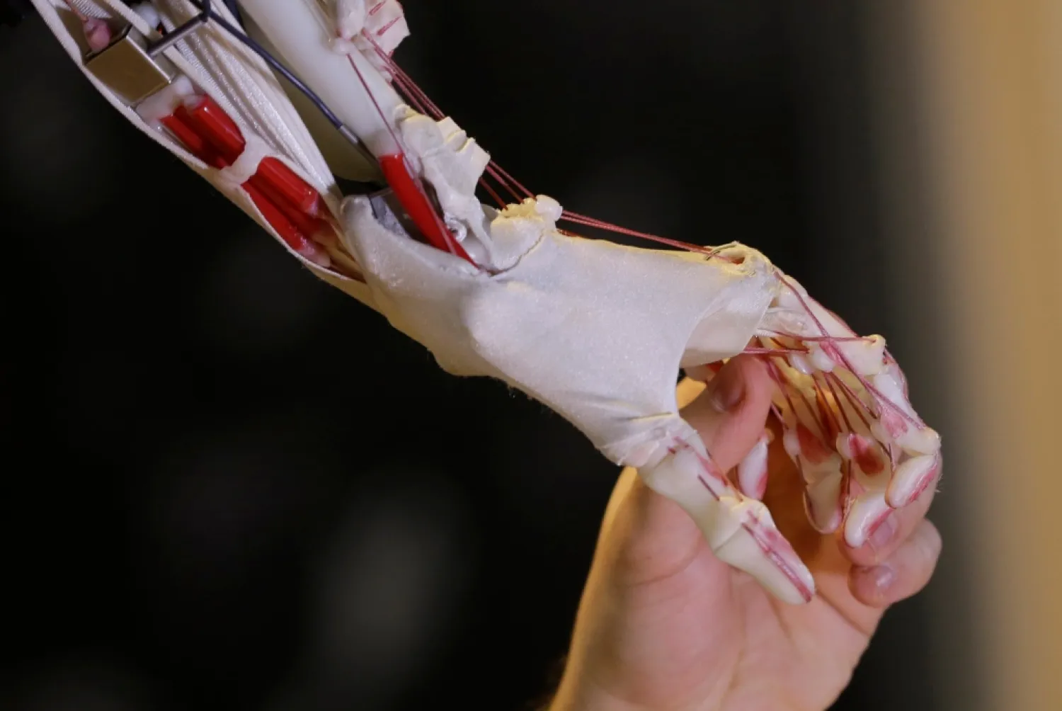 Researchers Develop New Robotic Arm Similar to Humans'