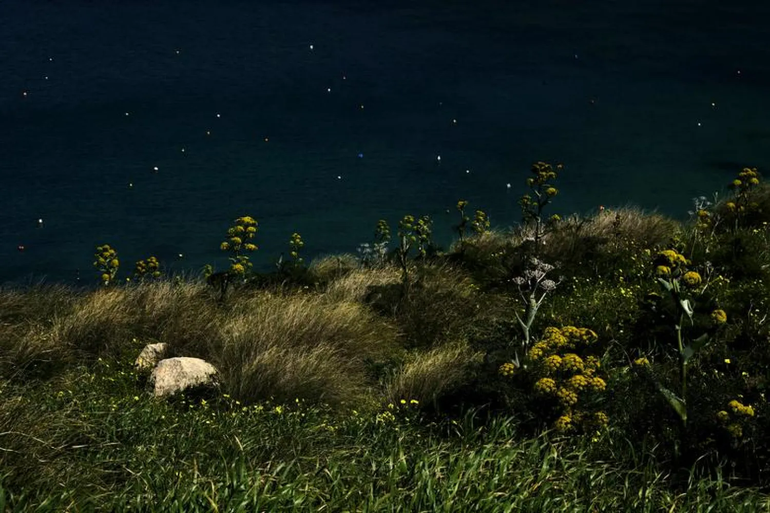 Nature is declining globally at rates unprecedented in human history, leaving a million species now at risk of extinction, some within decades. REUTERS/Darrin Zammit Lupi