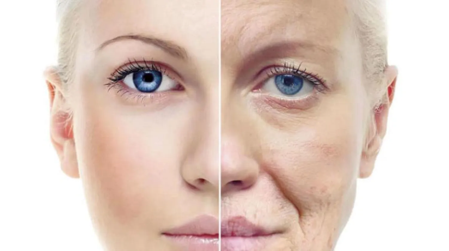 Cildi yenileyen genetik keşif