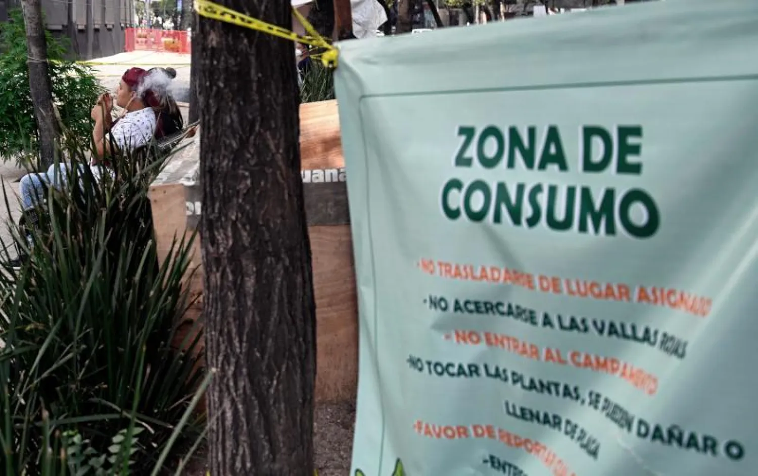 رجل يدخن الماريغوانا خلال التخييم خارج مبنى مجلس الشيوخ في مكسيكو سيتي (أ.ف.ب)