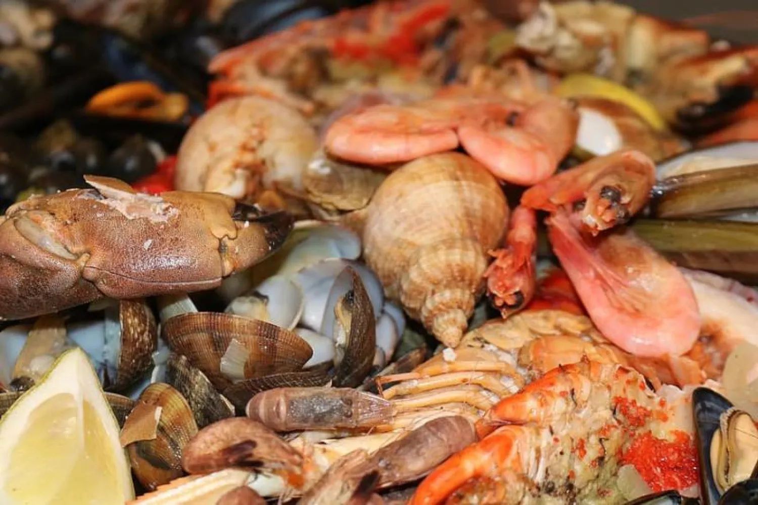 تكهنات علمية بنوعية طعام المستقبل