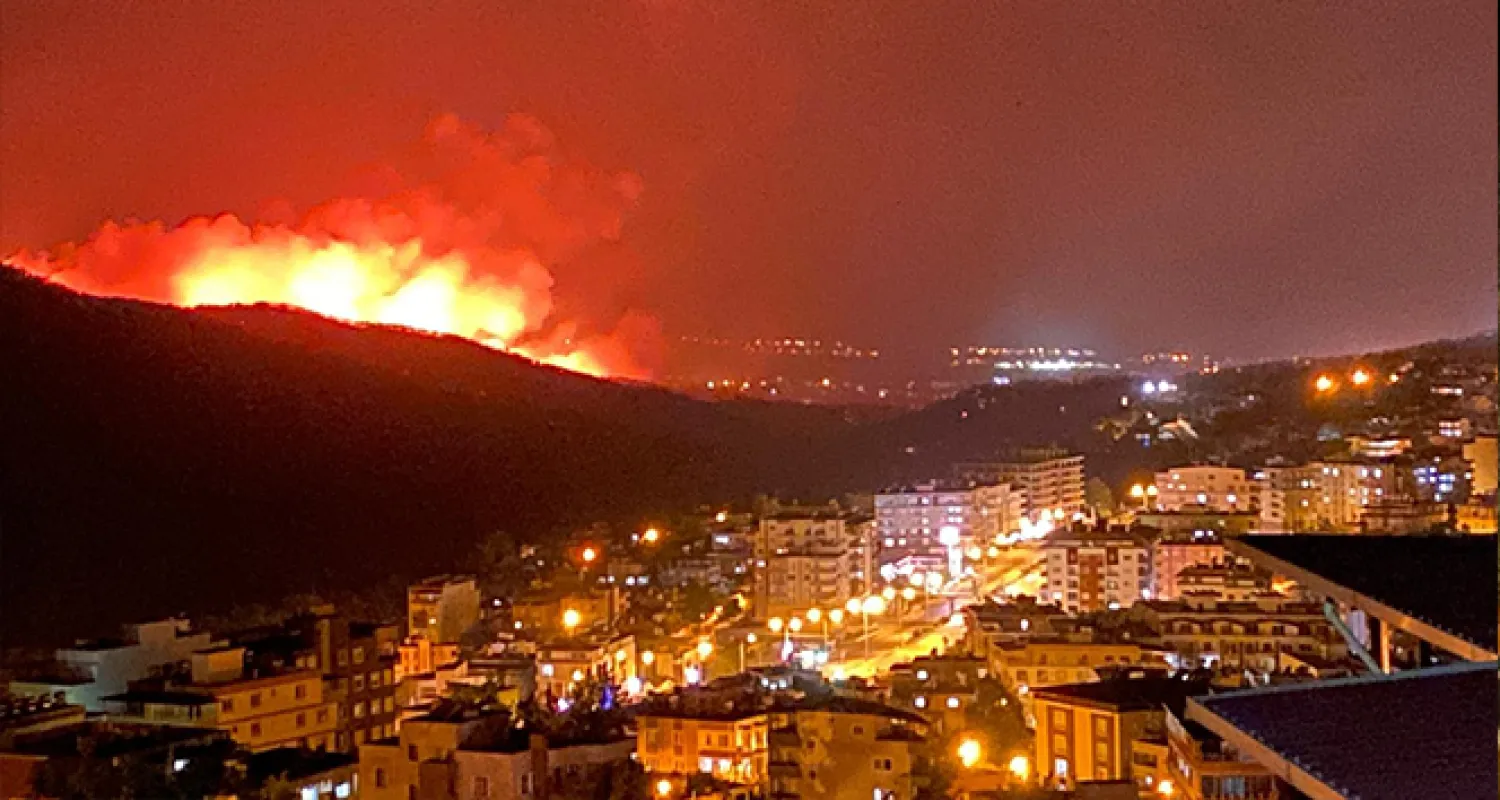 Hatay'da orman yangınları