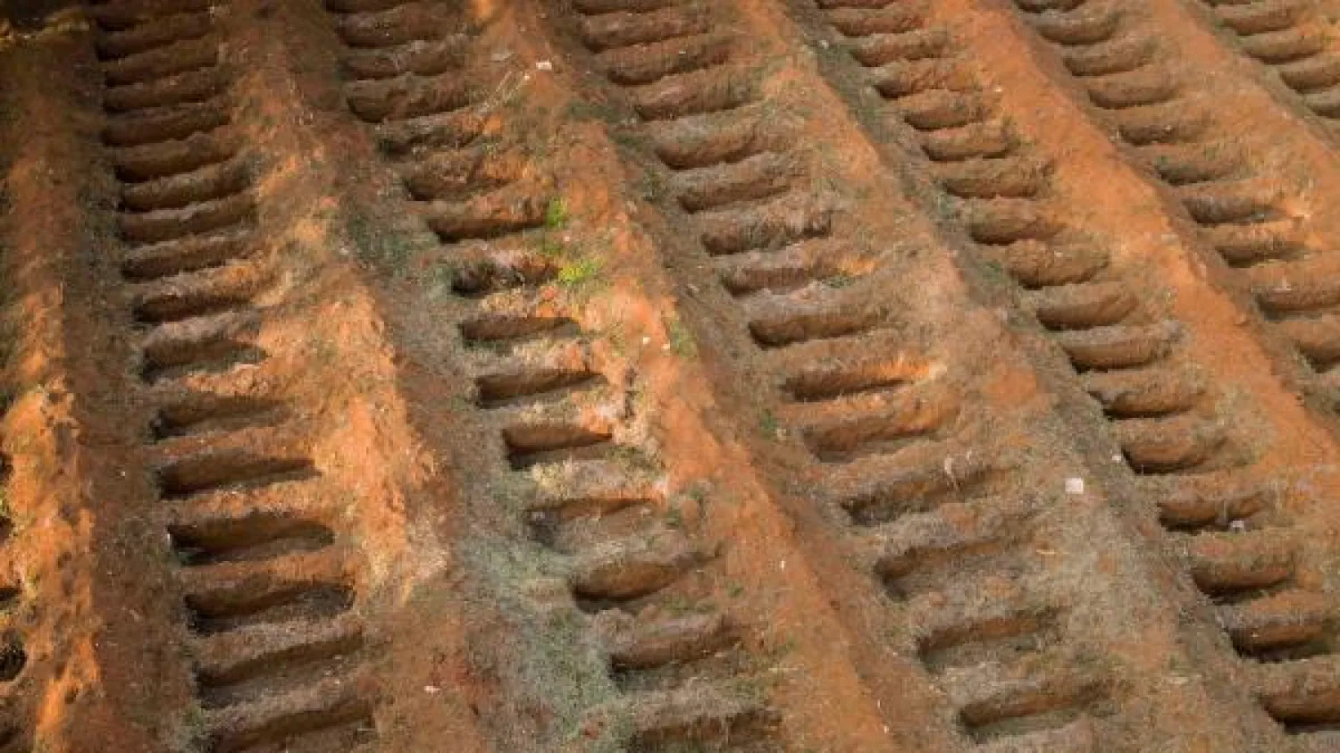 صورة جوية لمقبرة فيلا فورموزا بضواحي ساو باولو في ظل تفشي جائحة كورونا (ا.ف.ب)