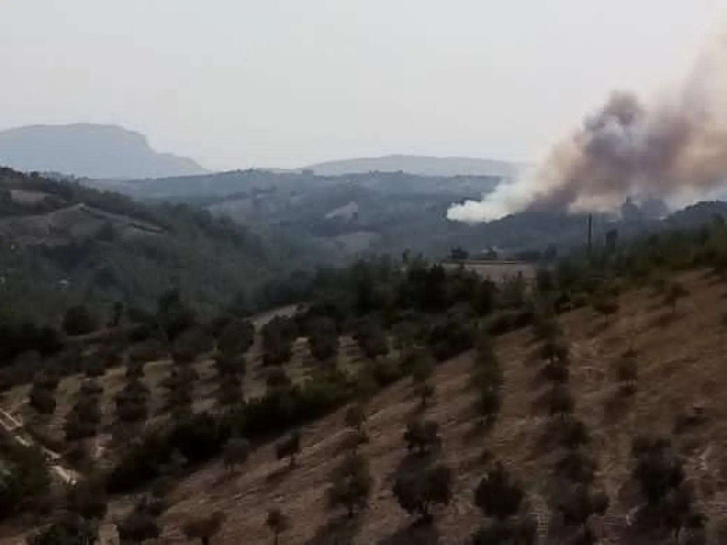 Osmaniye’de orman yangını çıktı, alevler evlerede sıçradı