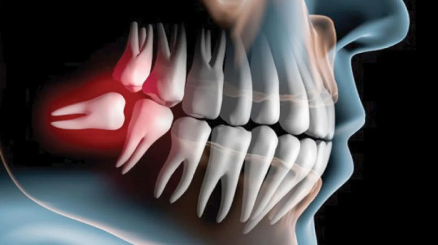 استمرار تطور الجنس البشري بوتيرة سريعة (غيتي)
