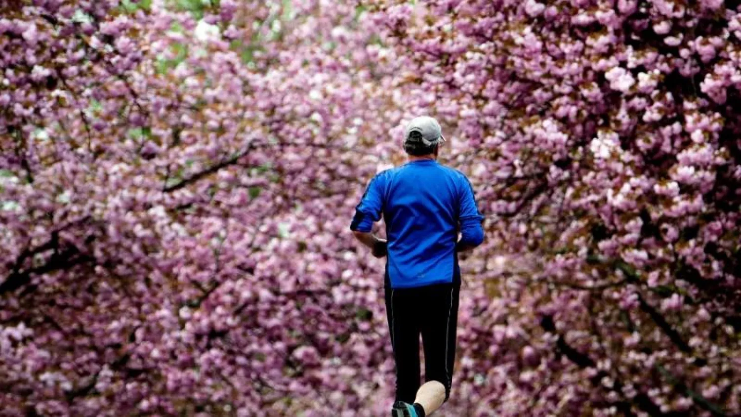 دراسة: رفع مستوى التدريبات لا يؤثر في أسباب الوفاة