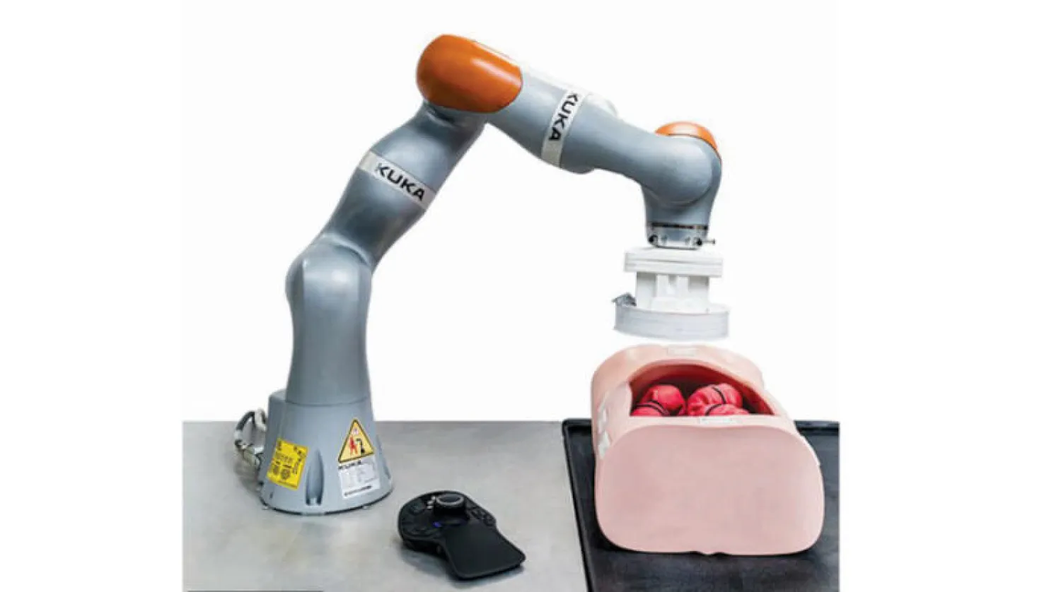 روبوت يقوم بتنظير القولون (الديلي ميل)