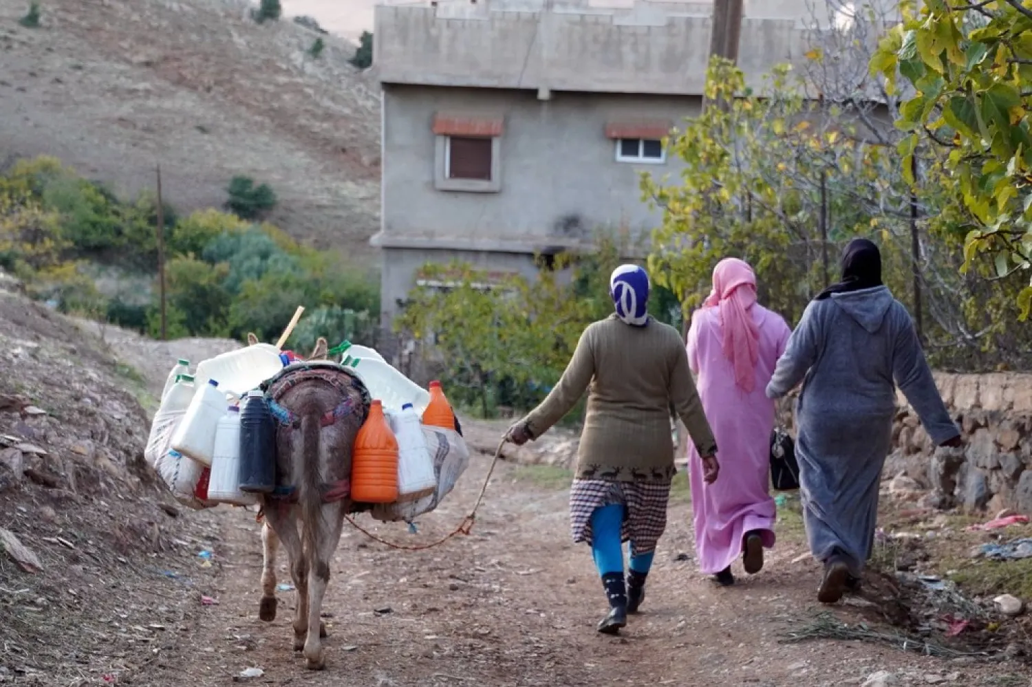 Women walk with their donkey carrying plastic containers of water to their homes in the community of Ait Hammou Ouhmad on the edge of Azrou in Morocco, November 6, 2019. (Reuters)