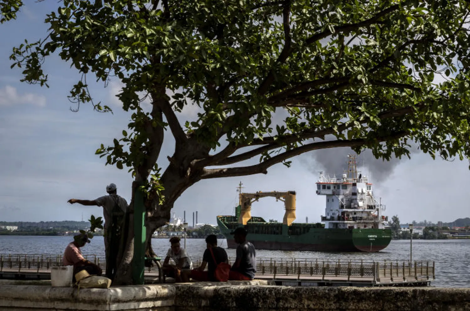 باخرة شحن في خليج هافانا (أ.ب)