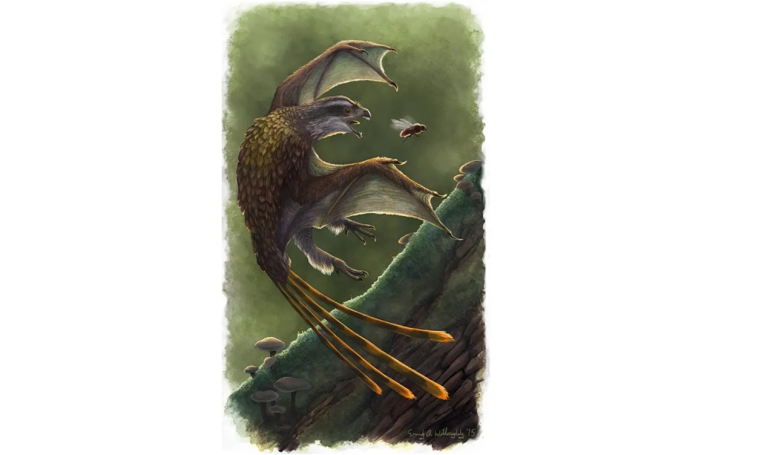 Small-Winged Dinosaurs Had Worse Flying Performance than Chickens