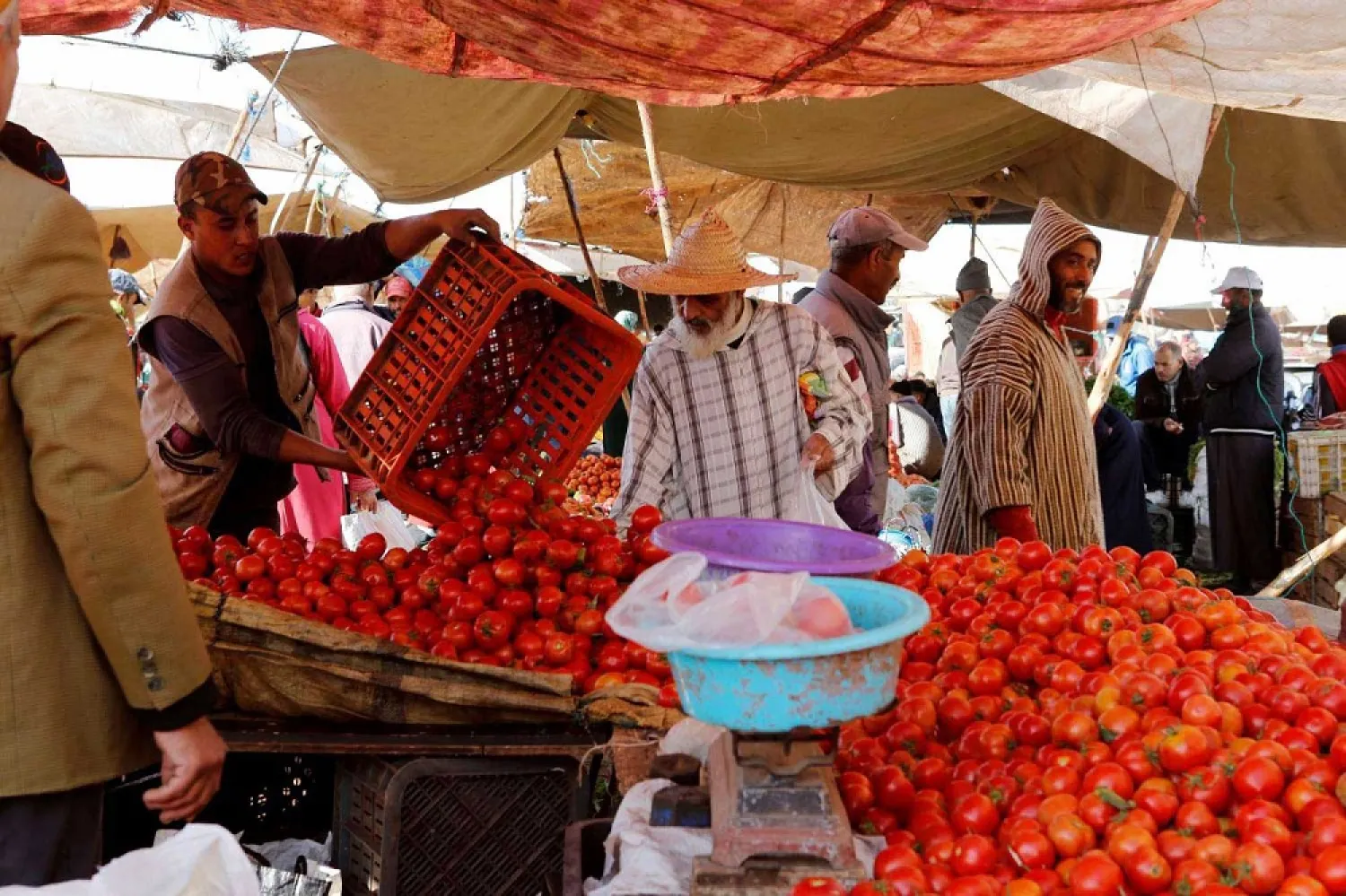 People shop at a vegetable market on the outskirts of Casablanca. (Reuters)