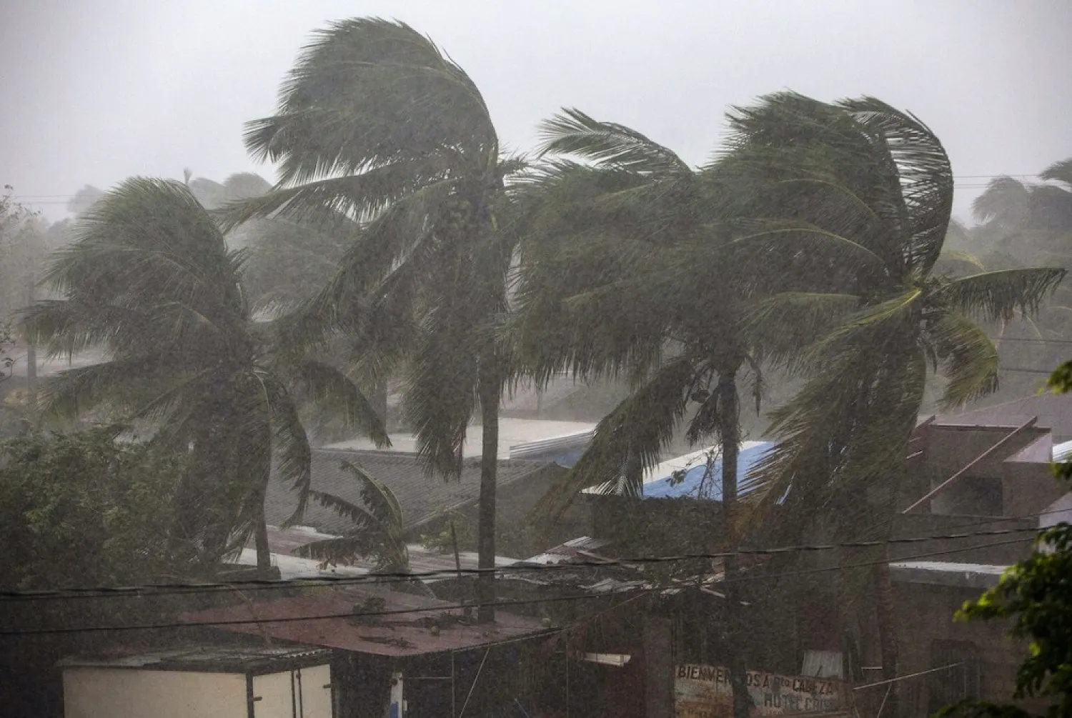 Palm trees blow in the wind as Hurricane Eta makes landfall in Bilwi, Puerto Cabezas, Nicaragua, on November 3, 2020. (Reuters)