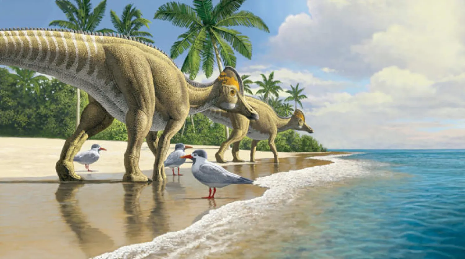 البيئة التي عاشت فيها ديناصورات منقار البط