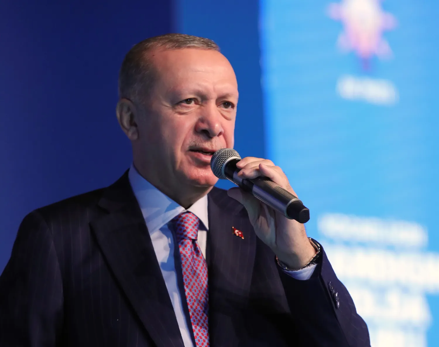 الرئيس التركي رجب طيب إردوغان (أ.ب)