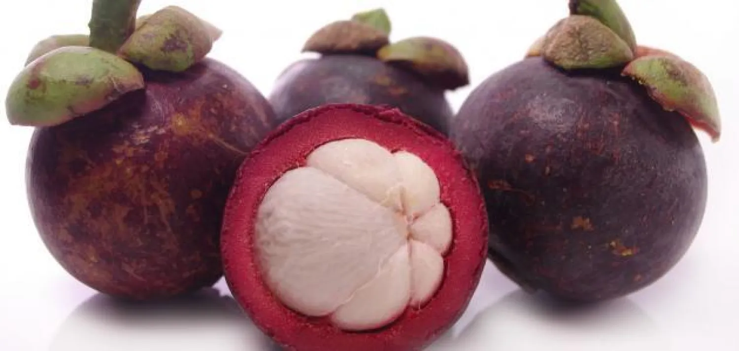 دراسة: فاكهة المانغوستين تكافح السرطان وتعزز فقدان الوزن