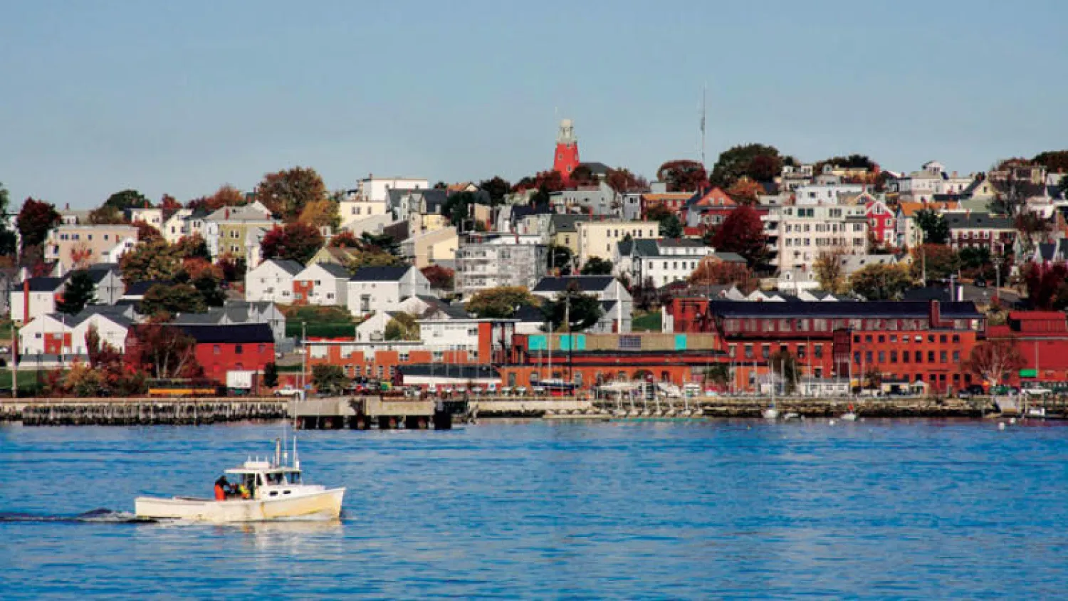 ماين... ولاية أشجار الصنوبر