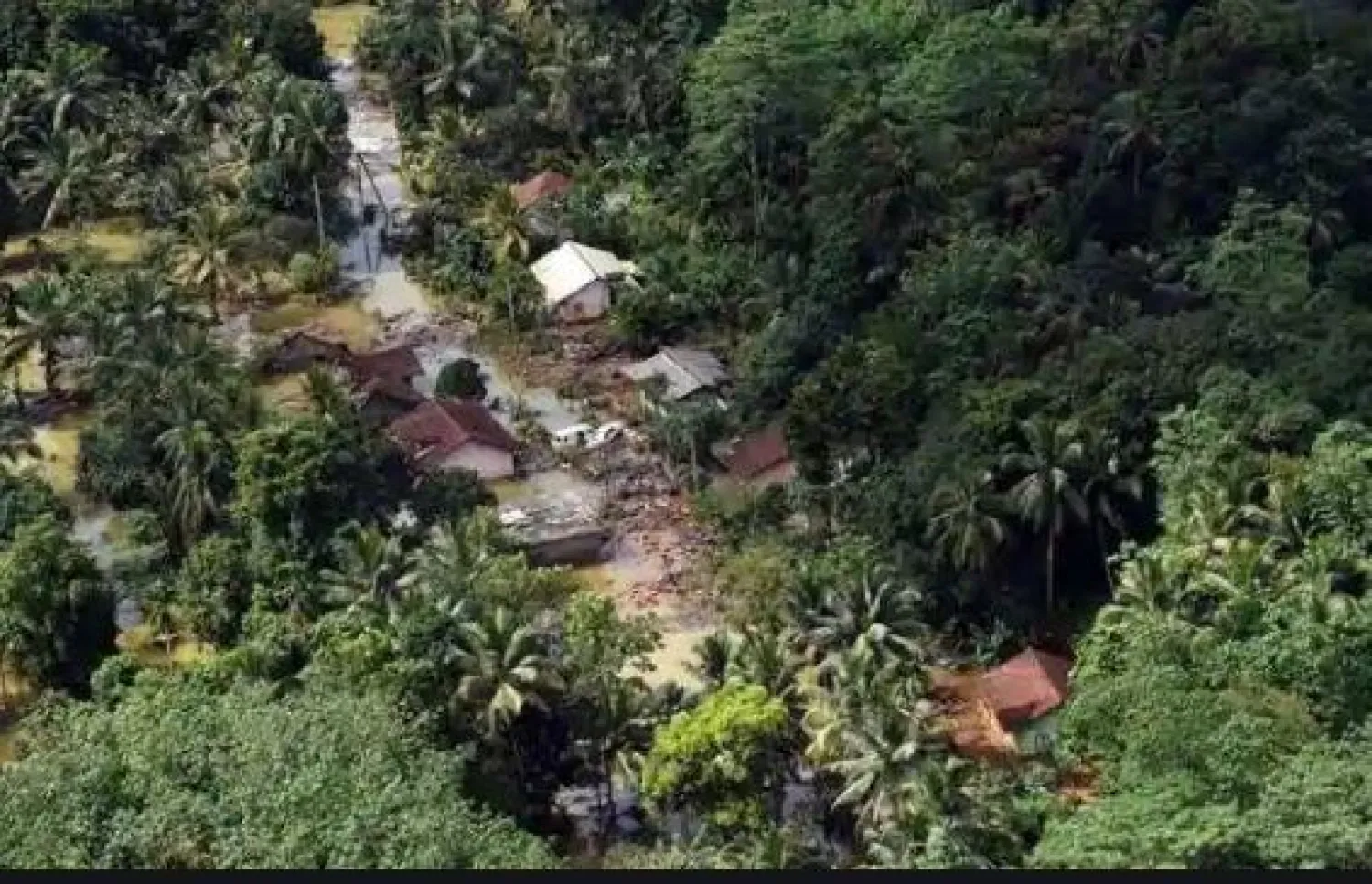 محمية طبيعية في سرلانكا(ارشيفية-رويترز)