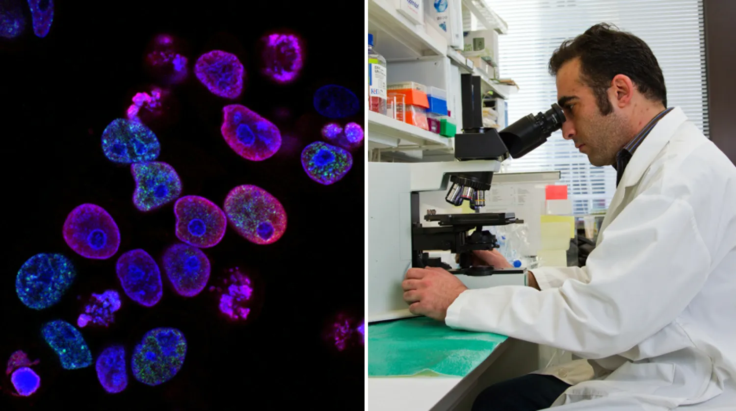 نصائح لمساعدة المرضى على متابعة علاج سرطان الرئة خلال جائحة كوفيد-19