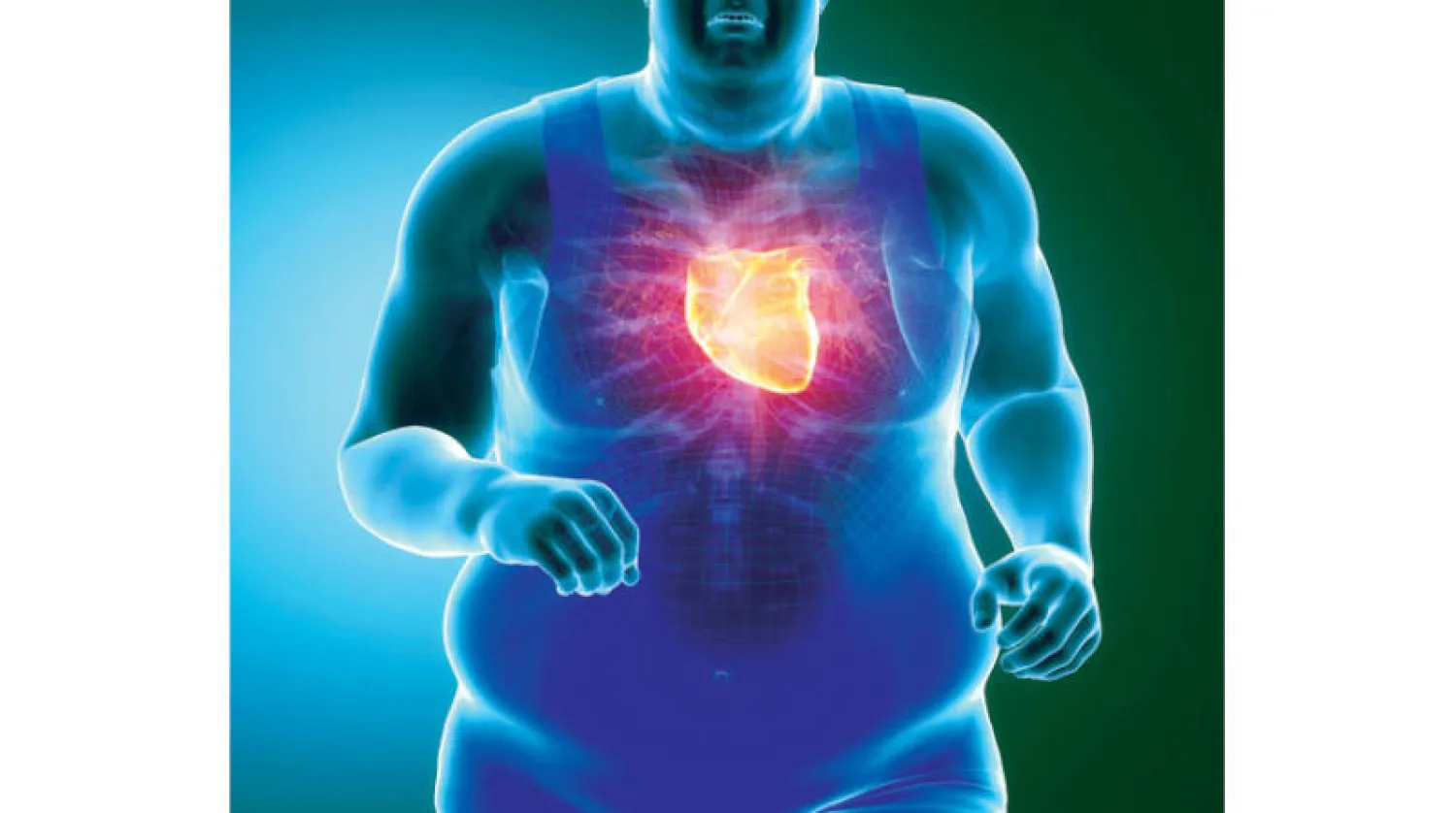 ارتفاع معدلات البدانة