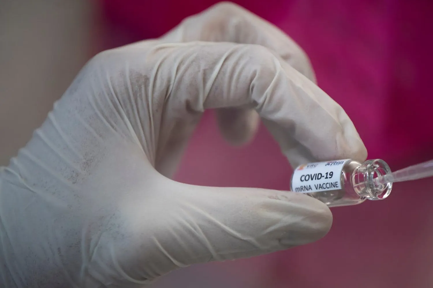 A researcher works inside a laboratory during the development of a vaccine for the coronavirus. Reuters file photo