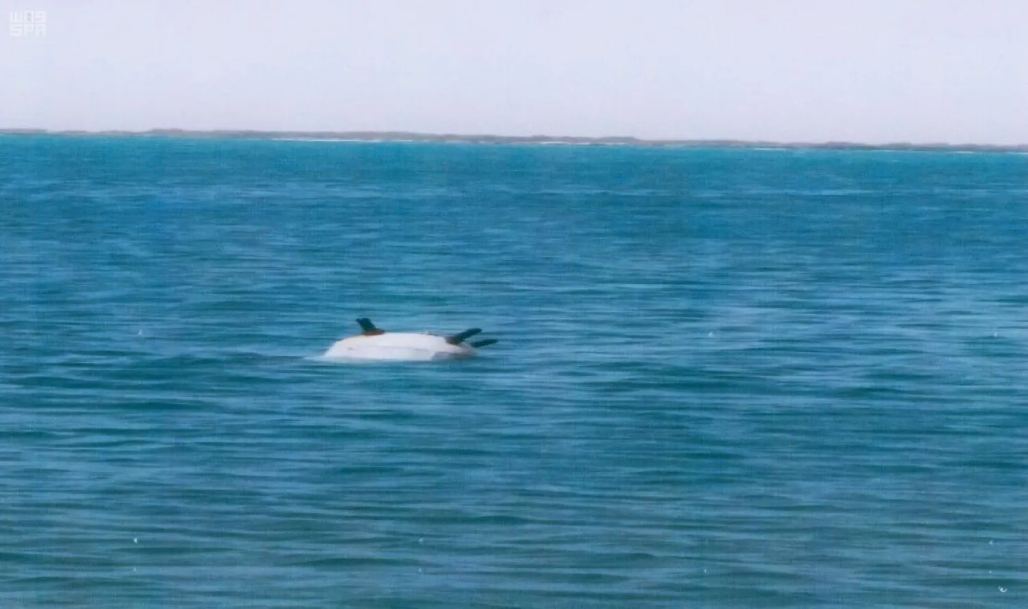 File photo of a Houthi sea mine. (SPA)