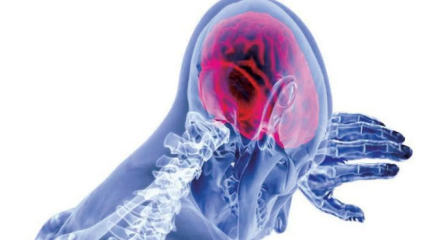 Anılar zihnimizin parmak izlerini oluşturuyor