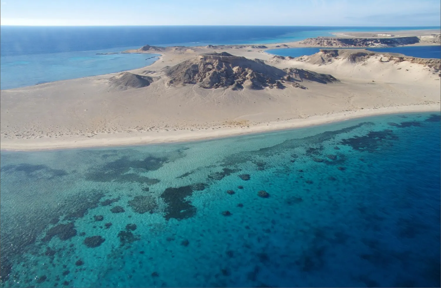 Coral reefs on the shores of the luxury tourism project, Amaala, on Saudi Arabia’s northwestern coast. (Amaala)