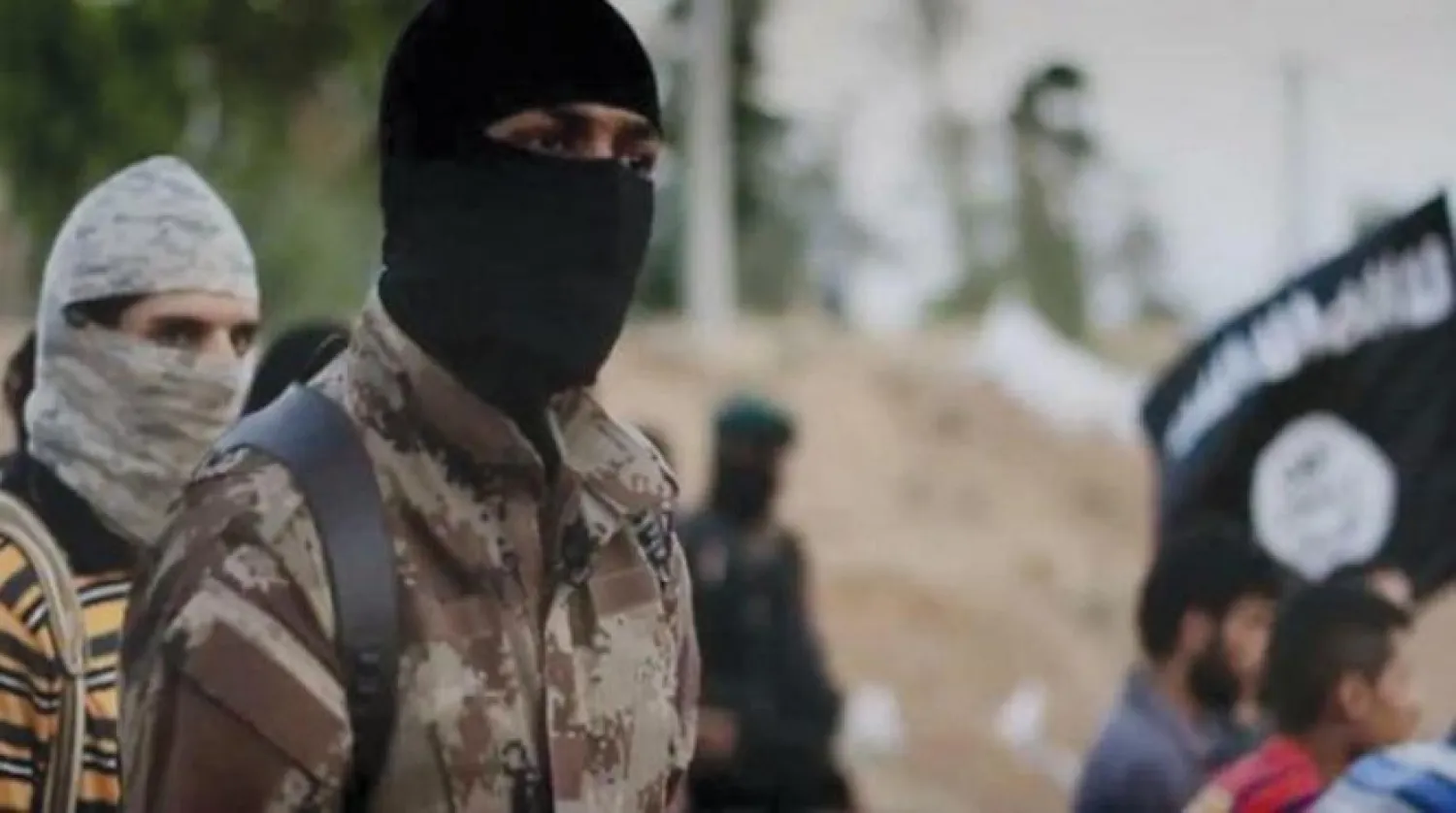 Archive photo of an ISIS member in Syria.