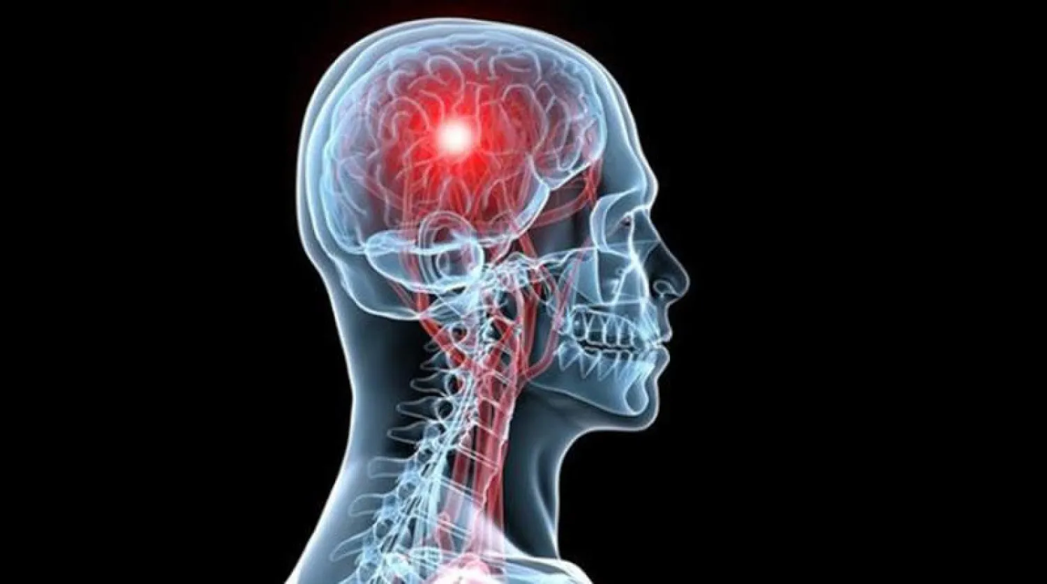 الوحدة والجوع يشتركان في منطقة واحدة بالدماغ