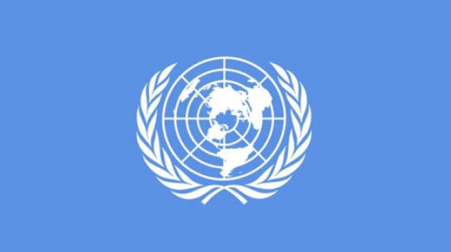 BM 5 özel raportörü: 'Fransa'nın güvenlik yasa tasarısı, uluslararası insan hakları hukukuna aykırı'