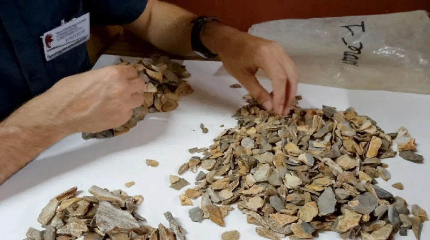 الباحثون تعرفوا على 47 من بقايا أحفورية تعود لطفل إنسان نياندرتال (الفريق البحثي)